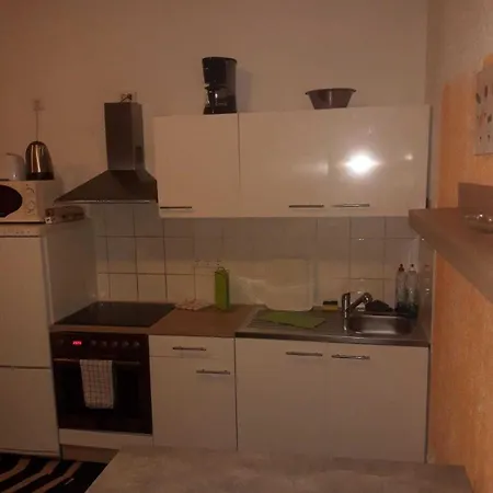 Appartement Im Medizinerviertel Halle (Saale)